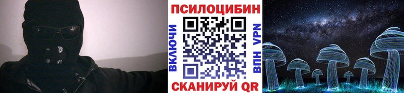купить Новосокольники Галлюциногенные грибы Psilocybine cubensis